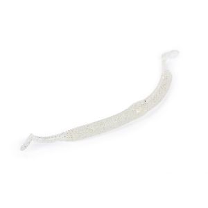 MOLIX Sneaky Worm 5 inch, Rubber bait, 13cm, SNW5-608